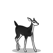 不断货稳定的{固定网站名称23}