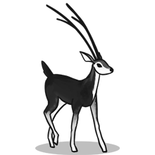 网页攻击器教程